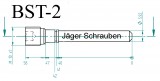 Titan (Ti6Al4V) - brake pad pin specialcolors